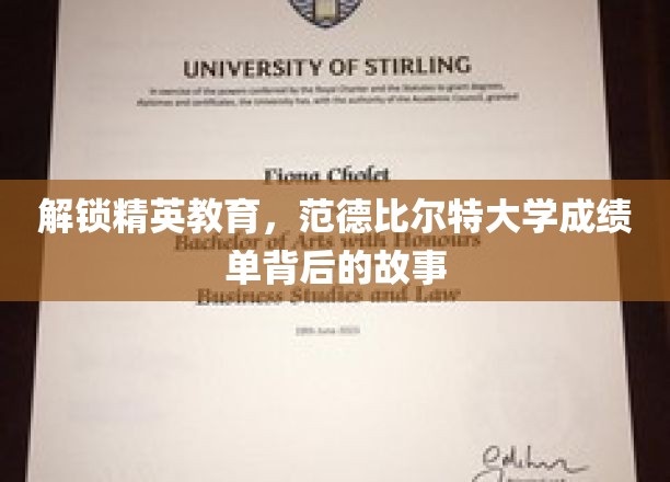 解锁精英教育，范德比尔特大学成绩单背后的故事