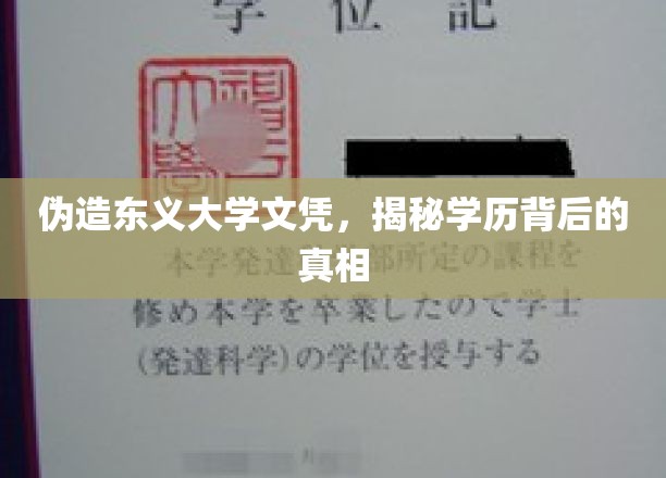 伪造学历风波，东义大学文凭之谜揭开面纱