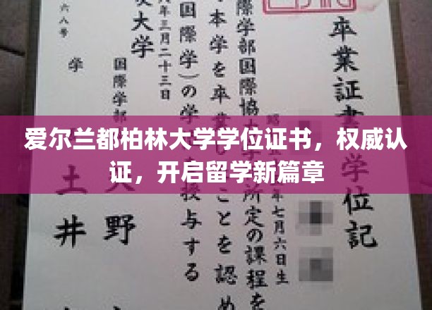 都柏林大学学位证书荣耀绽放，留学新里程正式开启