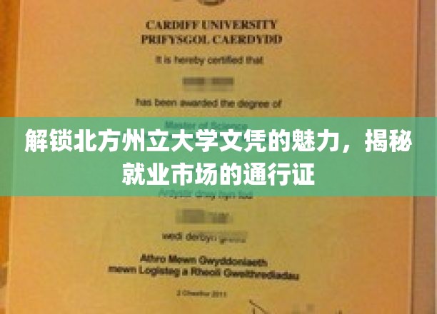 北州文凭闪耀职场，揭秘学历背后的就业魔力