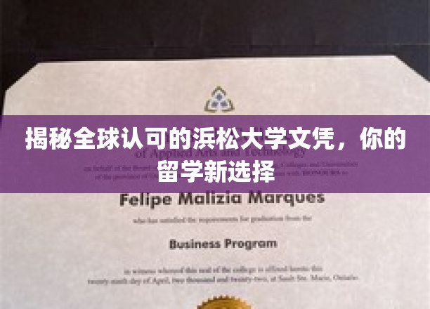 探索浜松大学文凭的国际认可度，开启留学新航向
