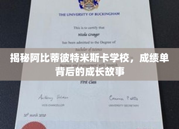 揭秘阿比蒂比特米斯卡学校，成绩单背后的成长故事