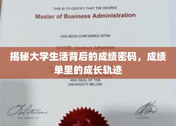 揭开大学生活成绩背后的秘密，成绩单中的青春足迹