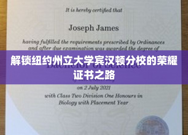 宾汉顿分校荣耀证书，揭秘毕业成就背后的奋斗之路