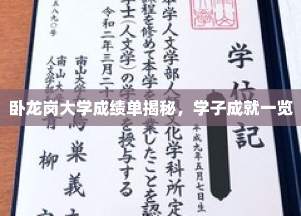 卧龙岗大学学子风采展，揭秘高分榜背后的故事