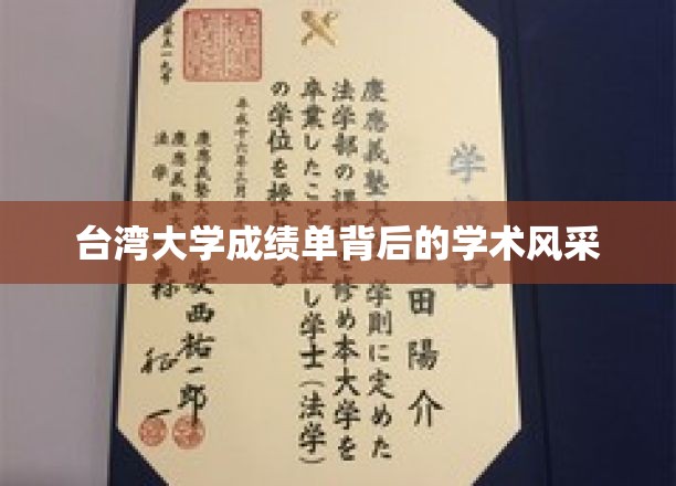 台湾大学成绩单映照下的学术魅力