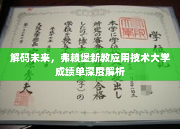 解码未来，弗赖堡新教应用技术大学成绩单深度解析