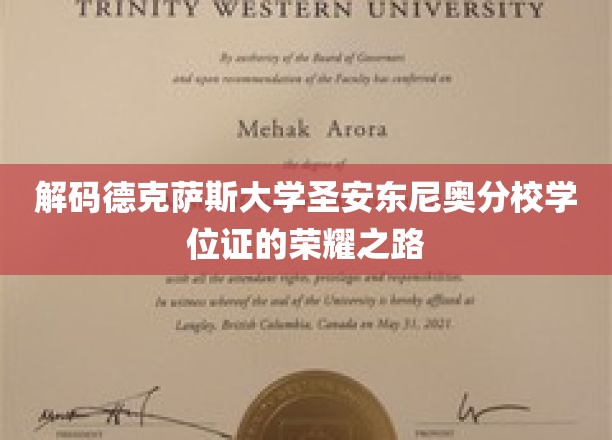 探寻德克萨斯大学圣安东尼奥分校学位证的璀璨轨迹