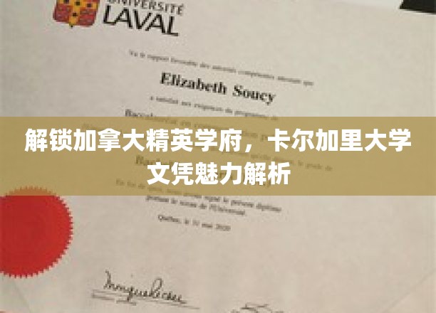 解锁加拿大精英学府，卡尔加里大学文凭魅力解析