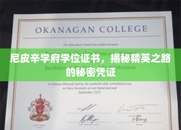 尼皮辛学府学位证书，揭秘精英之路的秘密凭证