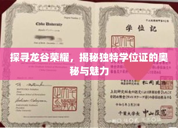 龙谷传奇，揭秘神秘学位证的荣耀之谜