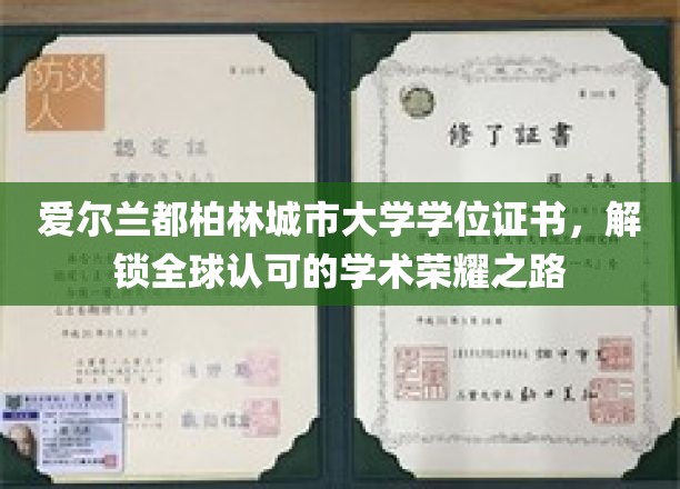 爱尔兰都柏林城市大学学位，开启国际认可的学术成就之门