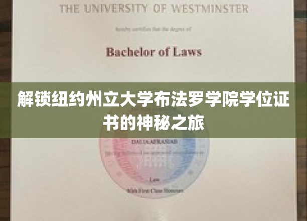 探索布法罗学院学位证书背后的传奇之旅