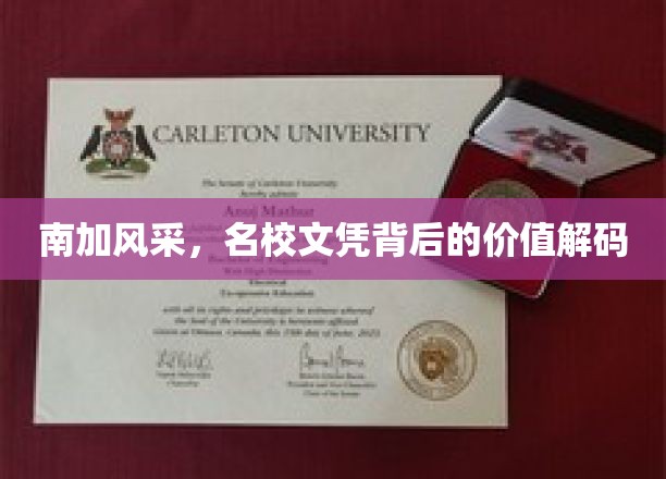 南加风采，名校文凭背后的价值解码