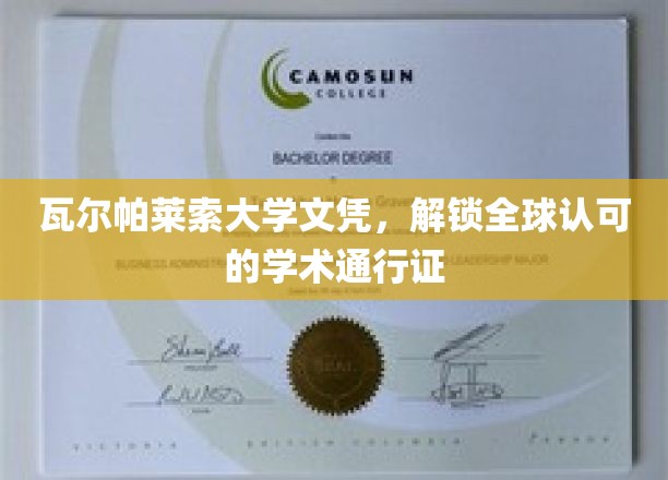 瓦尔帕莱索大学文凭，解锁全球认可的学术通行证