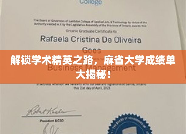 探寻学术精英之路，麻省大学成绩单深度解析！