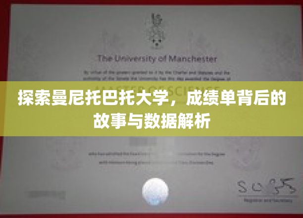 探索曼尼托巴大学，解读成绩单背后的故事与数据