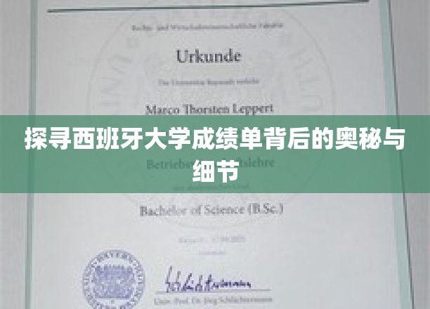探寻西班牙大学成绩单背后的奥秘与细节