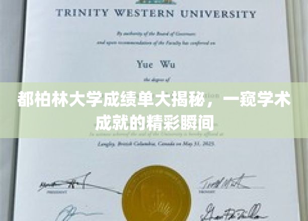 都柏林大学成绩单大揭秘，一窥学术成就的精彩瞬间