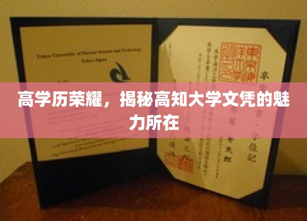 解码高学历光环，探索顶尖大学文凭的非凡魅力