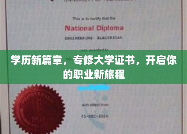 专修大学证书，解锁未来职业新天地