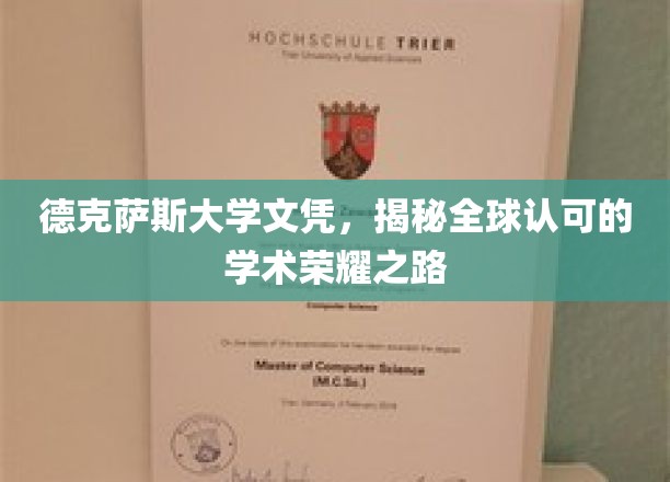 解码德克萨斯大学荣耀，全球视野下的学术精英通行证