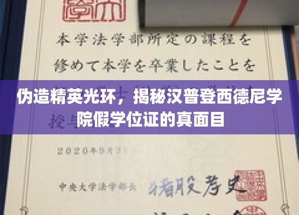 揭开汉普登西德尼学院假学位证的神秘面纱
