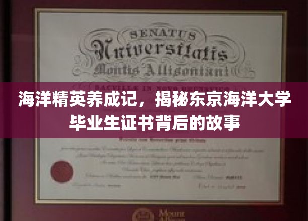 潜航梦想启航点，东京海洋大学毕业生证书背后的成长轨迹