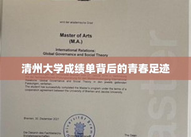 青春足迹下的清州大学成绩单秘密揭晓