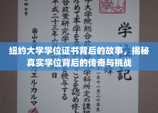 纽约大学学位证书背后的故事，揭秘真实学位背后的传奇与挑战