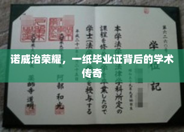 诺威治传奇，毕业证书背后的学术辉煌之旅