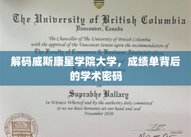探寻威斯康星学院大学成绩单的学术奥秘