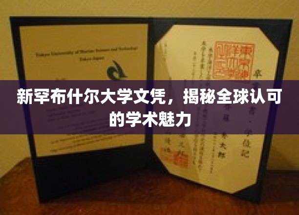 解码新罕布什尔大学，国际认可的学术光环背后的故事