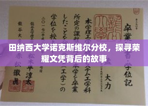 解码田纳西大学荣耀文凭，诺克斯维尔分校的传奇背后