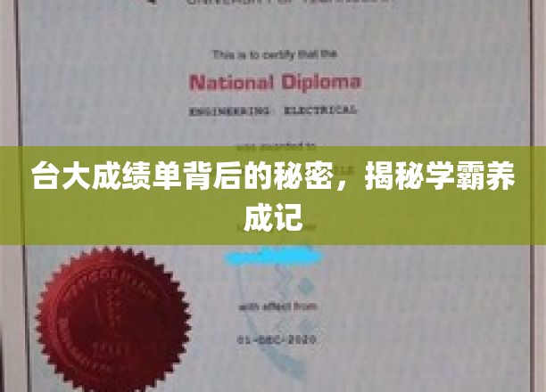 台大成绩单背后的秘密，揭秘学霸养成记