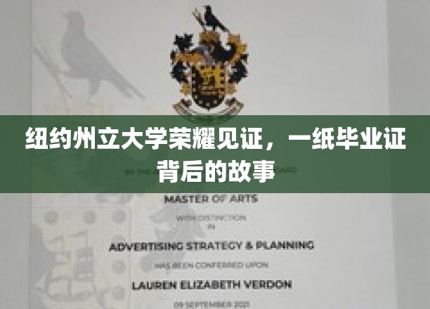 纽约州立大学荣耀见证，一纸毕业证背后的故事