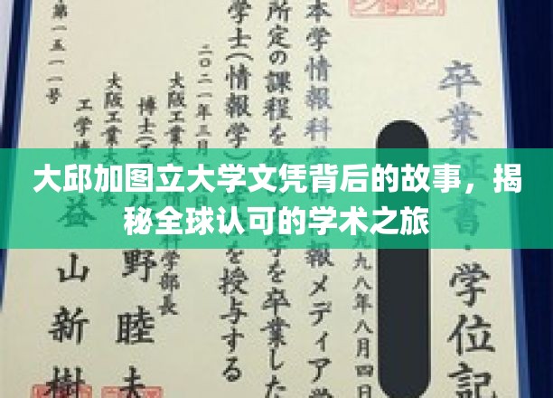 解码大邱加图立，全球认可的学术征途揭秘