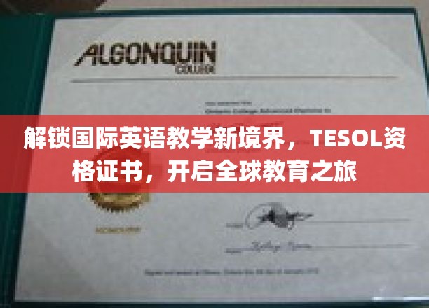跨越语言界限，TESOL证书助你航向全球教育新天地