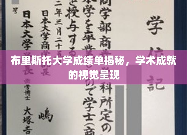 布里斯托大学成绩单揭秘，学术成就的直观展示