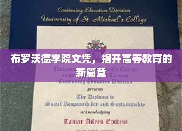 布罗沃德学院文凭，开启高等教育新篇章