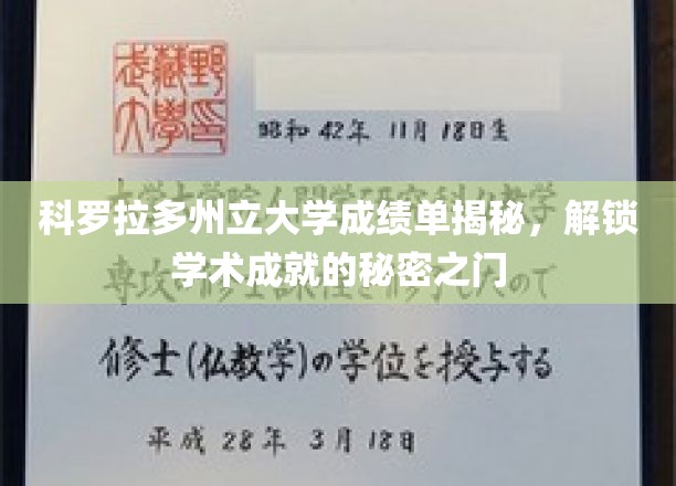 科罗拉多州立大学成绩单揭秘，探寻学术成就的奥秘