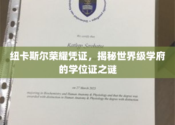 纽卡斯尔荣耀凭证，揭开世界级学府学位证的面纱