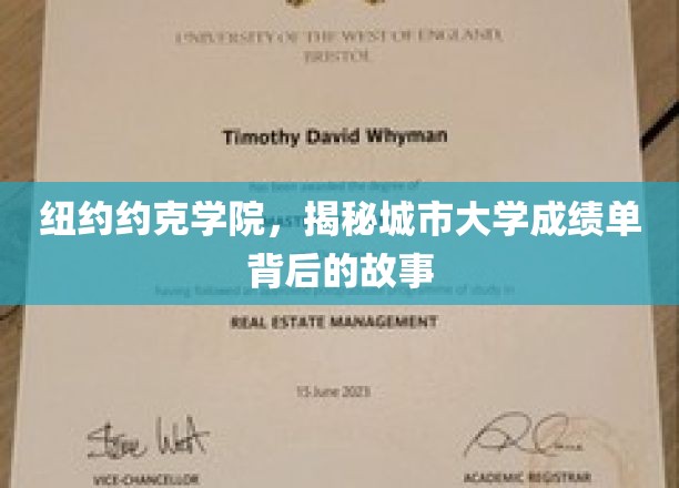 纽约约克学院，揭开城市大学成绩单背后的故事