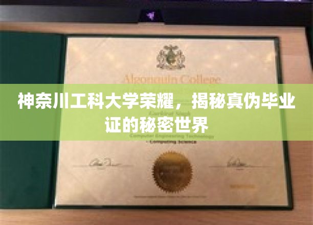 揭秘神奈川工科大学，真伪毕业证的神秘面纱