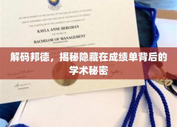 揭开成绩单的神秘面纱，探寻学术成就的深层密码