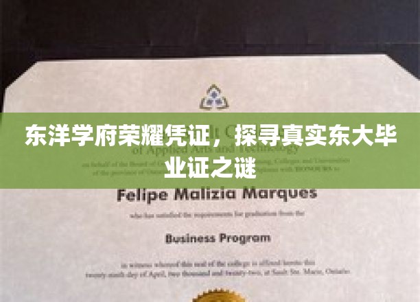 东洋学府荣耀揭秘，东大毕业证背后的真实故事