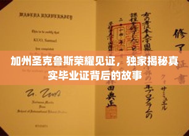 加州圣克鲁斯毕业证传奇，揭秘荣耀背后的真实故事