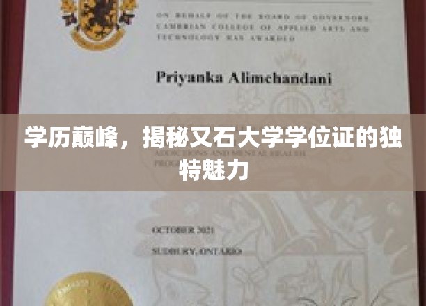 学位证书新篇章，又石大学学历背后的非凡吸引力