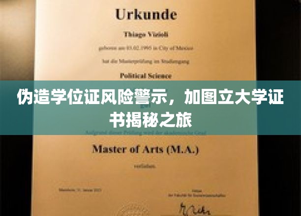 伪造学位证风险警示，加图立大学证书揭秘之旅