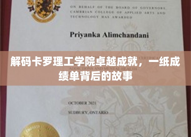 解码卡罗理工学院卓越成就，一纸成绩单背后的故事